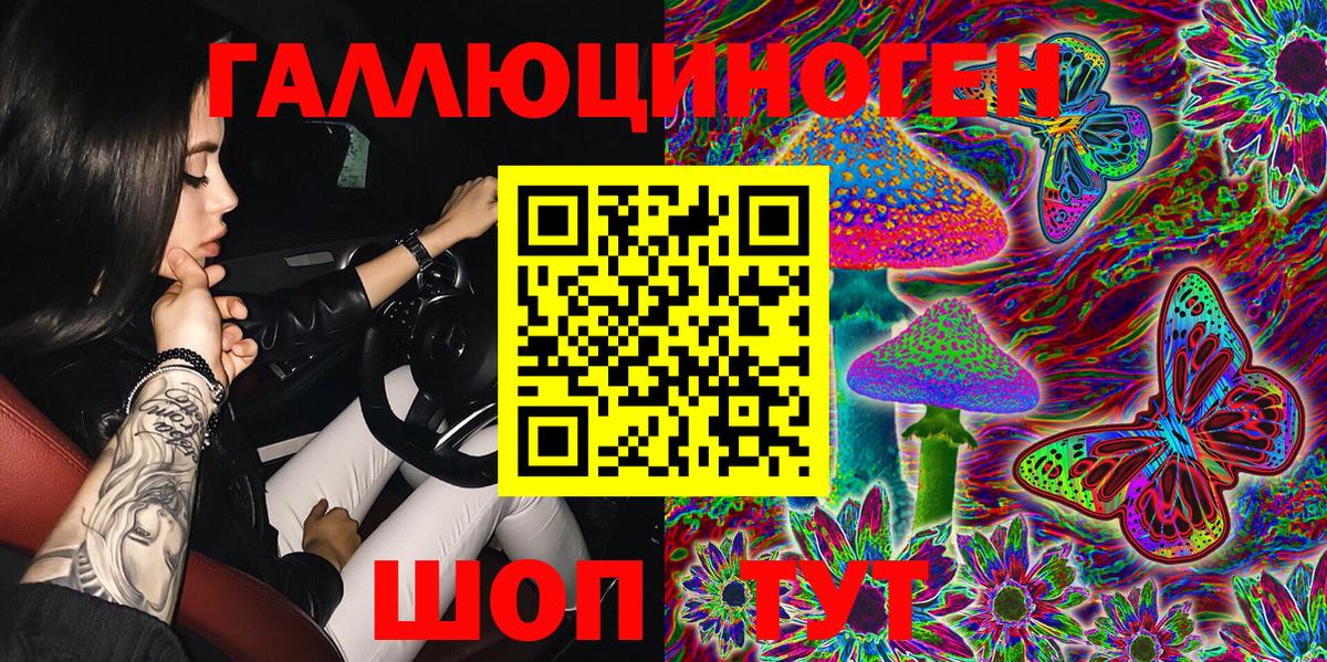 Галлюциногенные грибы Psilocybe Егорьевск