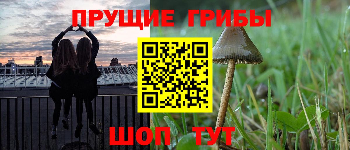 Галлюциногенные грибы Cubensis  Вход с VPN  Егорьевск 